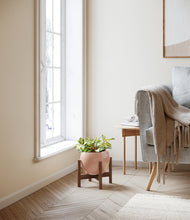 Load image into Gallery viewer, Calm Rose stand:walnut