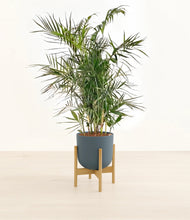 Load image into Gallery viewer, Iron Gray stand:bamboo