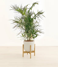 Load image into Gallery viewer, Natural Bamboo stand:bamboo