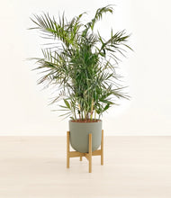 Load image into Gallery viewer, Sage Green stand:bamboo