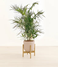 Load image into Gallery viewer, Sandy Pink stand:bamboo