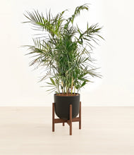 Load image into Gallery viewer, Stone Black stand:walnut