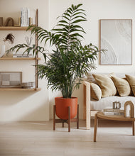 Lade das Bild in den Galerie-Viewer, Earth Red stand:walnut