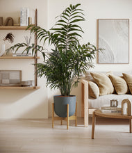 Lade das Bild in den Galerie-Viewer, Iron Gray stand:bamboo