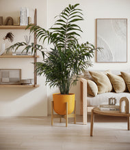 Lade das Bild in den Galerie-Viewer, Sunset Orange stand:bamboo