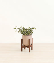 Load image into Gallery viewer, Sandy Pink stand:dark