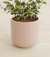 Charger l'image dans la galerie, Sandy Pink stand:all