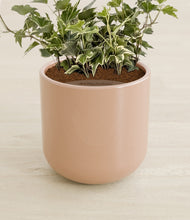 Charger l'image dans la galerie, Glossy Pink stand:all