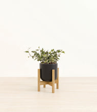 Charger l'image dans la galerie, Stone Black stand:light