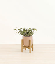 Charger l'image dans la galerie, Glossy Pink stand:light