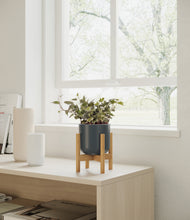 Charger l'image dans la galerie, Iron Gray stand:light