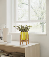 Charger l'image dans la galerie, Key Lime Yellow stand:light