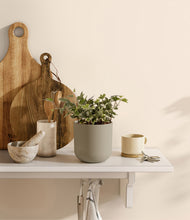 Load image into Gallery viewer, Sage Green