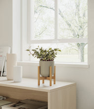 Load image into Gallery viewer, Sage Green stand:light