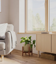 Load image into Gallery viewer, Olive stand:walnut