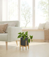 Load image into Gallery viewer, Dark Olive stand:bamboo