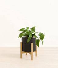 Load image into Gallery viewer, Black stand:bamboo