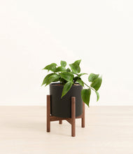 Load image into Gallery viewer, Black stand:walnut