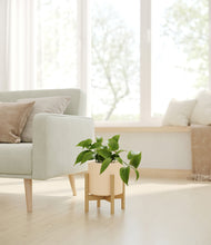 Load image into Gallery viewer, Cream stand:bamboo