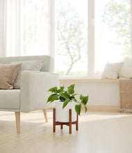 Load image into Gallery viewer, White stand:walnut