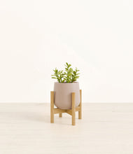 Load image into Gallery viewer, Eternal Gray stand:bamboo