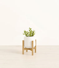 Load image into Gallery viewer, White stand:bamboo