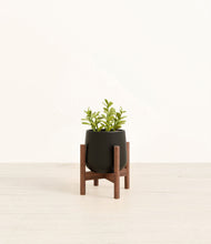 Load image into Gallery viewer, Black stand:walnut