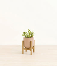 Load image into Gallery viewer, Glossy Pink stand:bamboo