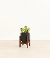 Load image into Gallery viewer, Stone Black stand:walnut