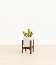 Load image into Gallery viewer, Cotton White stand:walnut