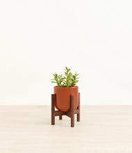 Load image into Gallery viewer, Glossy Red stand:walnut
