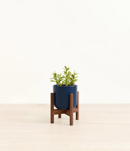 Load image into Gallery viewer, Twilight Blue stand:walnut