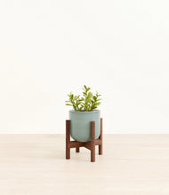 Load image into Gallery viewer, Reactive Aqua stand:walnut