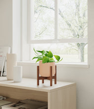 Load image into Gallery viewer, Gentle Pink stand:walnut