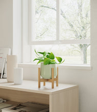 Load image into Gallery viewer, Turquoise stand:bamboo