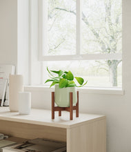 Load image into Gallery viewer, Turquoise stand:walnut