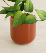 Load image into Gallery viewer, Earth Red stand:all