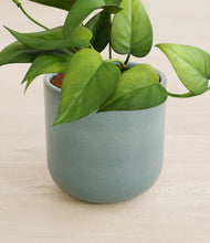 Load image into Gallery viewer, Reactive Aqua stand:all