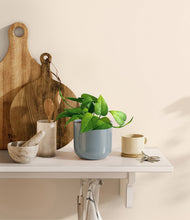 Load image into Gallery viewer, Misty Blue