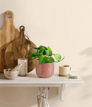 Load image into Gallery viewer, Hammered Rose Pink