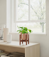 Load image into Gallery viewer, Hammered Peach Pink stand:walnut