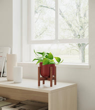 Load image into Gallery viewer, Striped Cherry Red stand:walnut