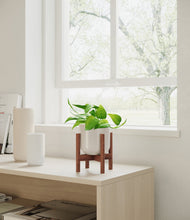 Load image into Gallery viewer, Snowdrift White stand:walnut