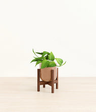 Load image into Gallery viewer, Hammered Peach Pink stand:walnut