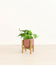 Load image into Gallery viewer, Hammered Rose Pink stand:bamboo