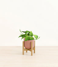 Load image into Gallery viewer, Striped Rose Pink stand:bamboo