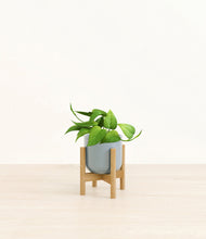 Load image into Gallery viewer, Misty Blue stand:bamboo