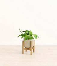 Load image into Gallery viewer, Sage Green stand:bamboo