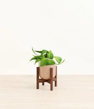 Load image into Gallery viewer, Glossy Pink stand:walnut