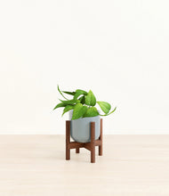 Load image into Gallery viewer, Misty Blue stand:walnut